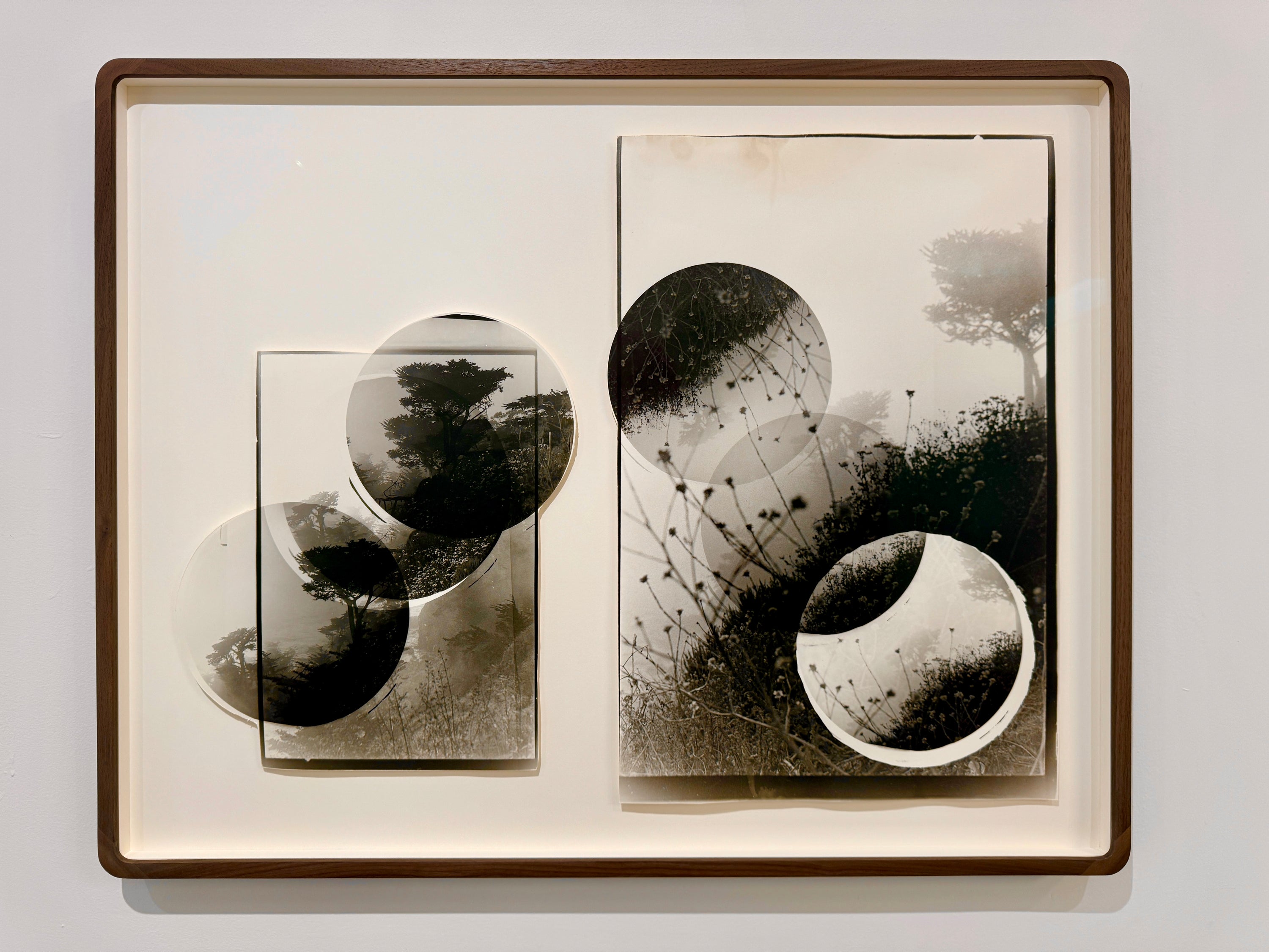 Beatrice Thornton, Converging Spheres, (Diptych) 2025