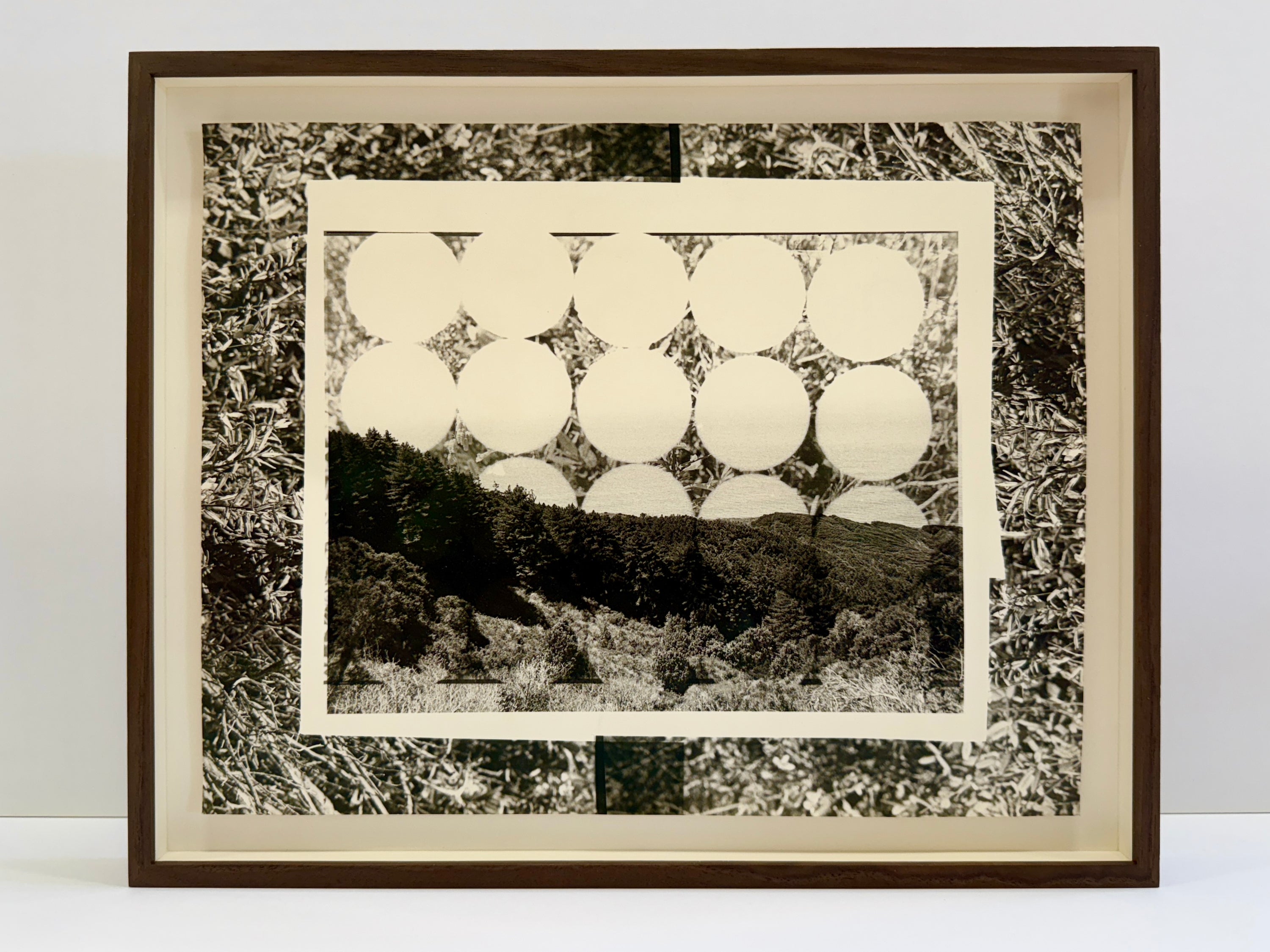 Beatrice Thornton, Bluff Hike Vision II, 2024