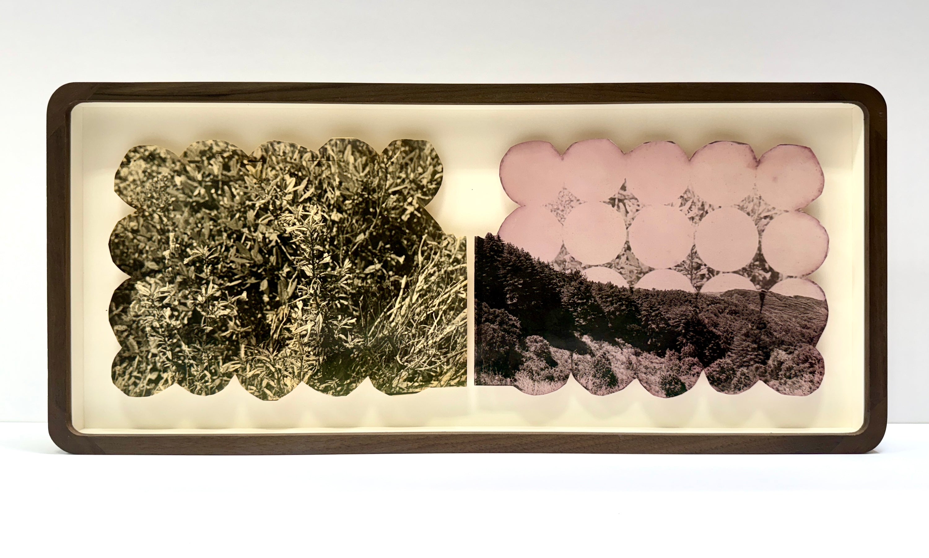 Beatrice Thornton, Bluff Hike Vision I, 2024