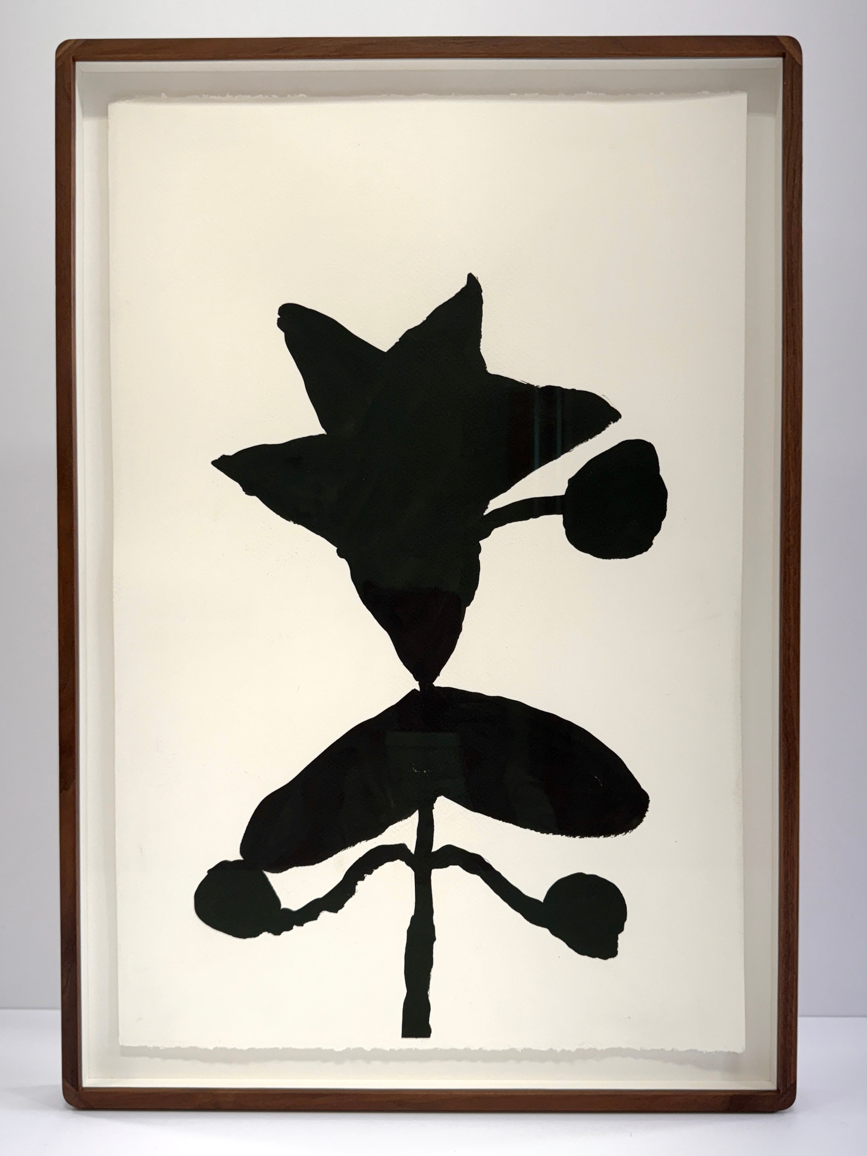Elena Cooper set of 3 flower drawings.