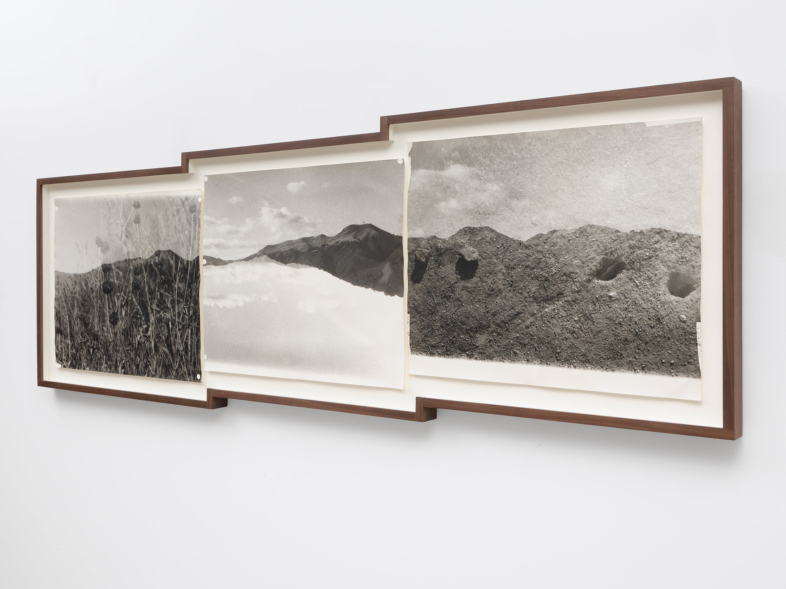 Beatrice Thornton Triptych