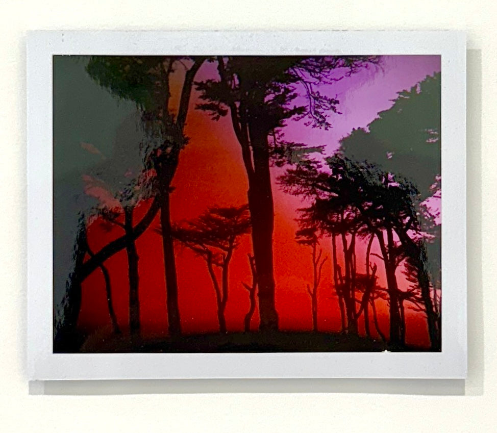 Lani Rozvar,  Lands End, 2022