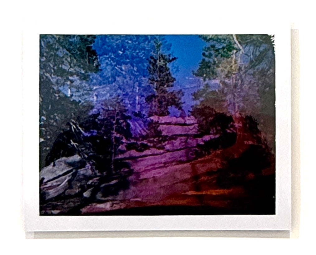 Lani Rozvar, Lands End, 2022