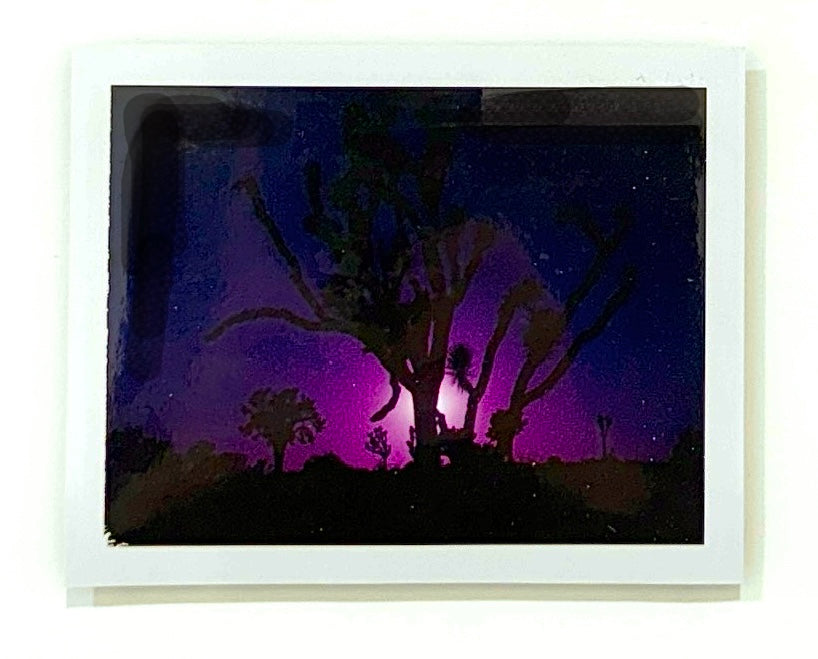 Lani Rozvar, Joshua Tree, 2022