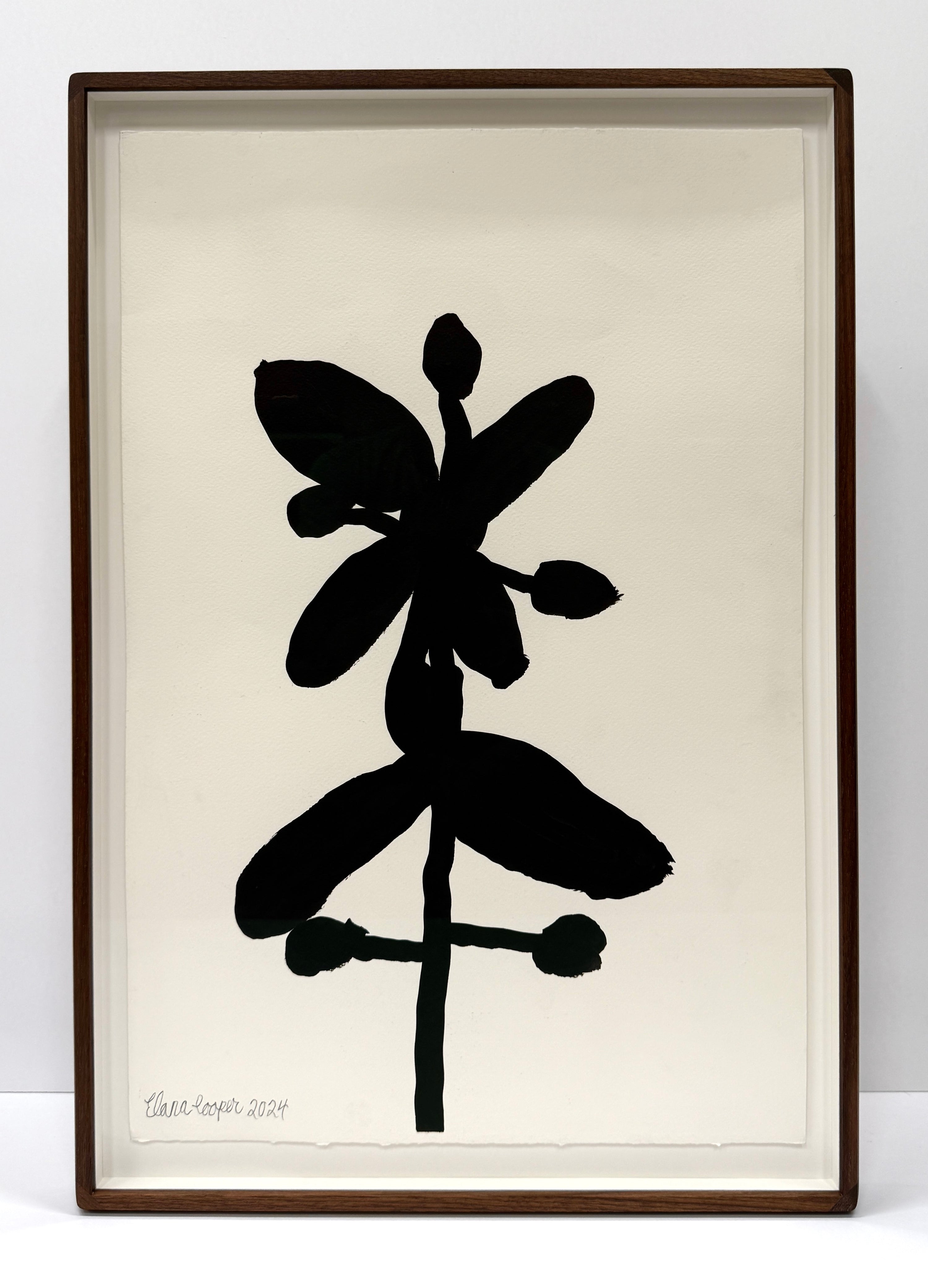 Elana Cooper Flower 2024
