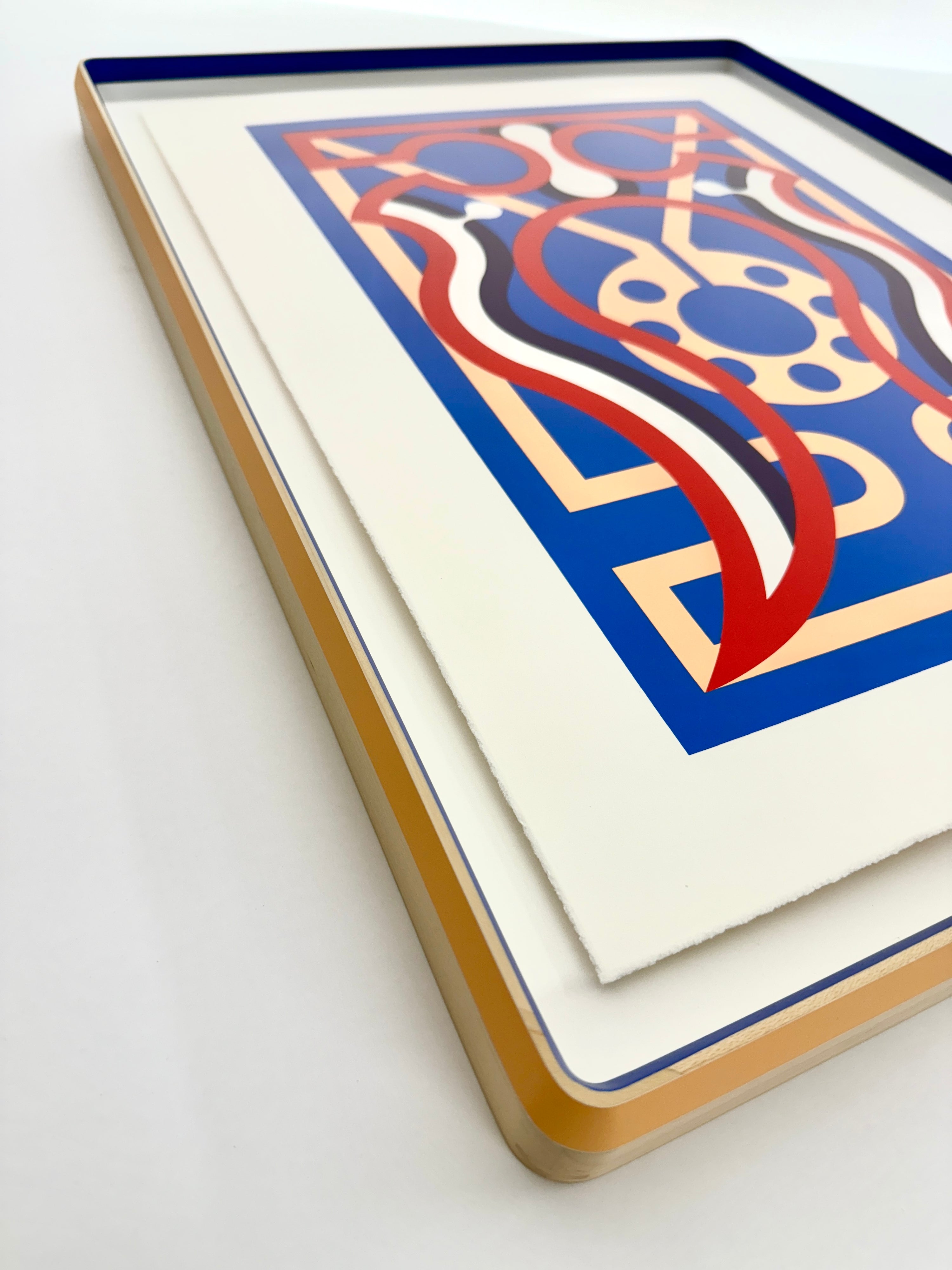 Francesco Igory Deiana "Thom Browne" Framed